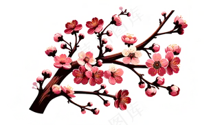 樱花树枝 矢量艺术风格 透明背景免扣