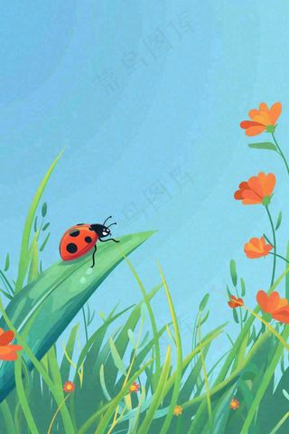 春天草丛花丛里的昆虫七星瓢虫蓝色背景踏青立春春分惊蛰卡通插画背景