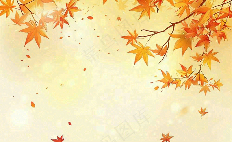秋天红了的枫叶枫树落叶飘零立秋秋分黄色卡通插画背景