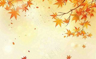 秋天红了的枫叶枫树落叶飘零立秋秋分黄色卡通插画背景