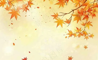 秋天红了的枫叶枫树落叶飘零立秋秋分黄色卡通插画背景