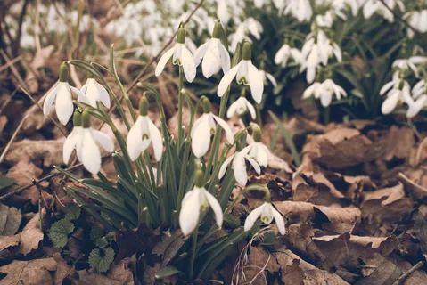 湖泊山峰图片 湖泊山峰图片