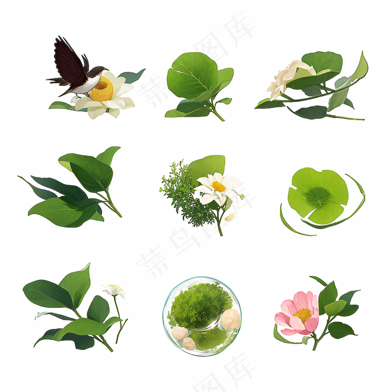 手绘练习小植物花草系列10