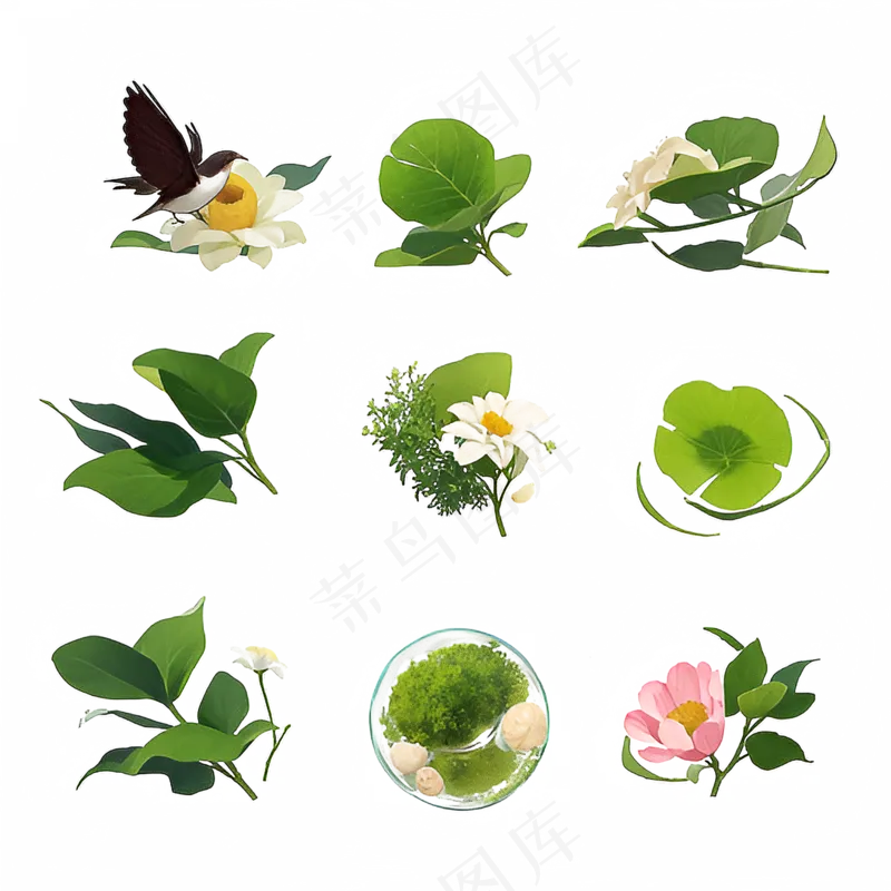 手绘练习小植物花草系列10