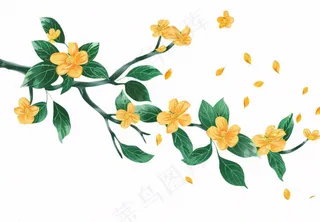 金秋桂花黄花树枝卡通插画免抠