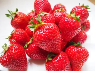 新鲜草莓水果
