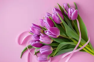 紫色郁金香鲜花妇女节摄影图