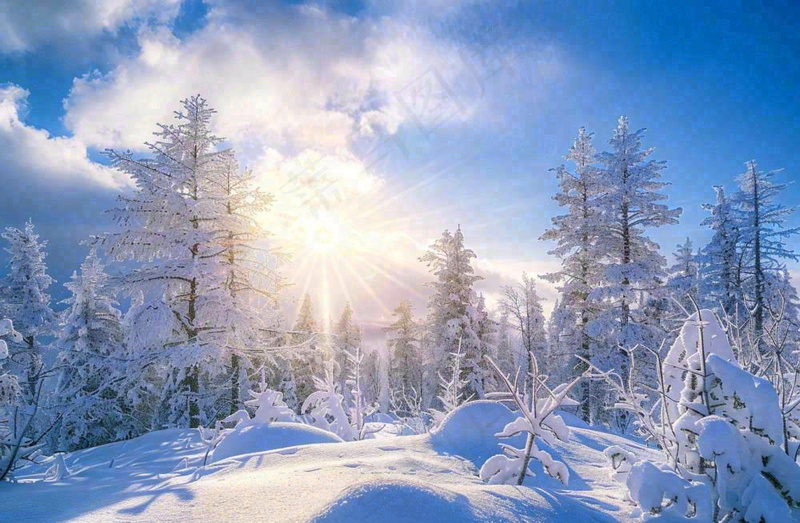 冬天白雪覆盖的森林阳光照射大自然雪景大雪小雪冬至摄影图(1344x880)