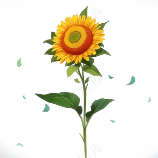 黄色向日葵免抠素材17