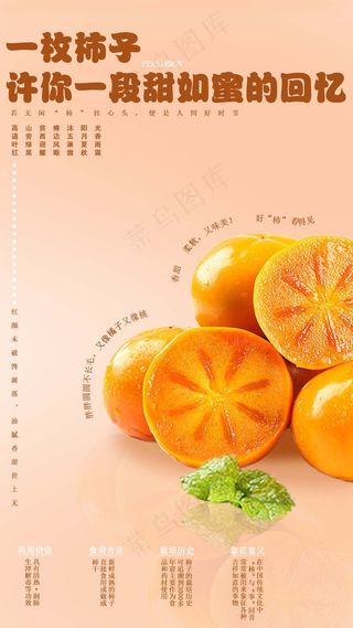 柿子橙色简约海报