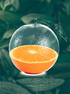 透明水果橘子效果