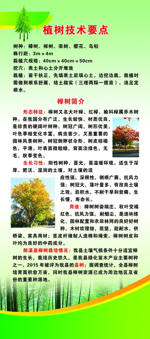 门型架榉树种植1.8米cdr矢量模版下载