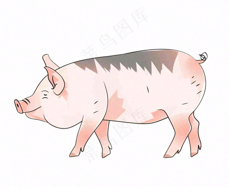 猪牲畜动物卡通插画免抠