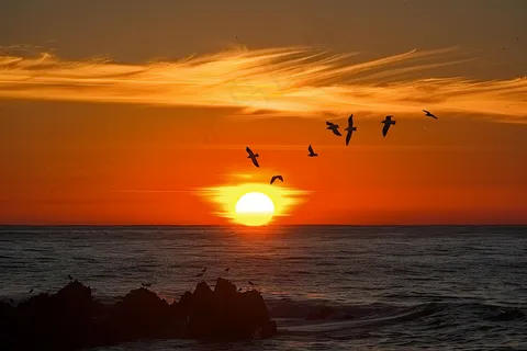 海上日出朝霞云层摄影图