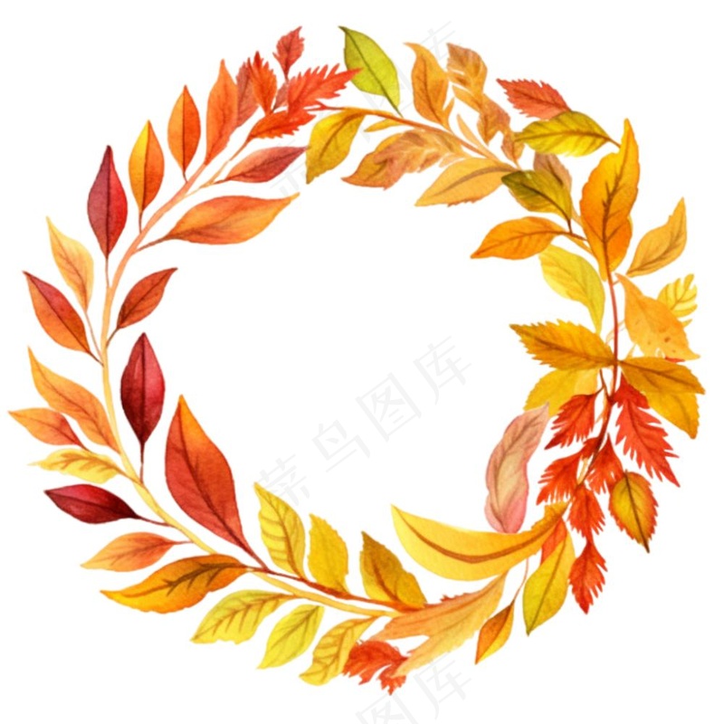 枫叶落叶树叶简约秋天圆形边框水彩画插画免抠