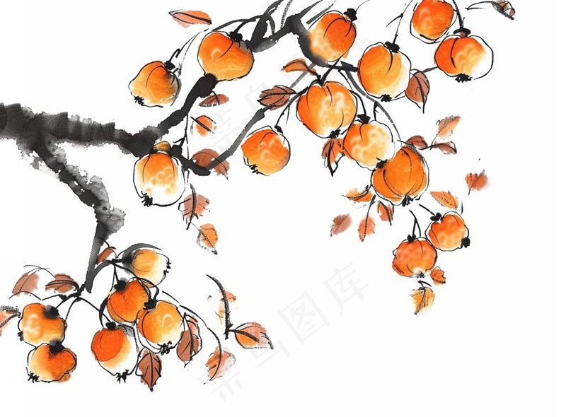 柿子杏树水墨画中国风插画免抠(1280x944)