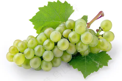 葡萄水果摄影图 葡萄水果摄影图