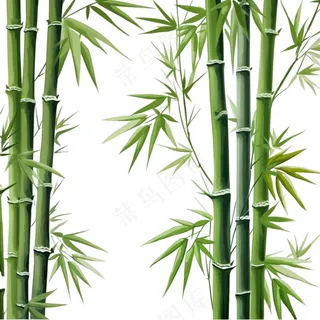 竹子竹叶竹林绿色卡通插画免抠 竹子竹叶竹林绿色卡通插画免抠