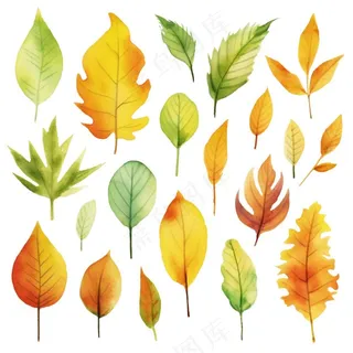 秋天落叶黄叶水彩画卡通插画免抠