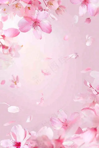粉色樱花桃花花瓣飘落唯美浪漫春天春分情人七夕背景