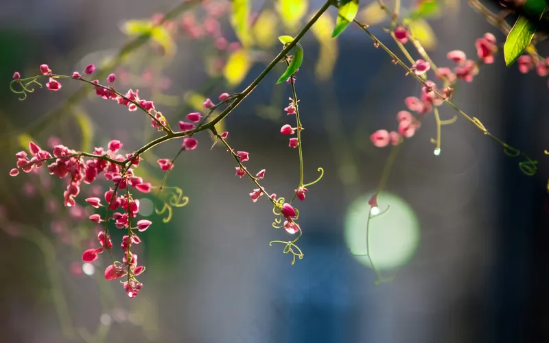 那一抹清新 (9)