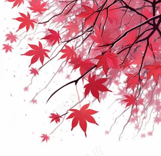 秋天红色枫叶树枝卡通插画背景