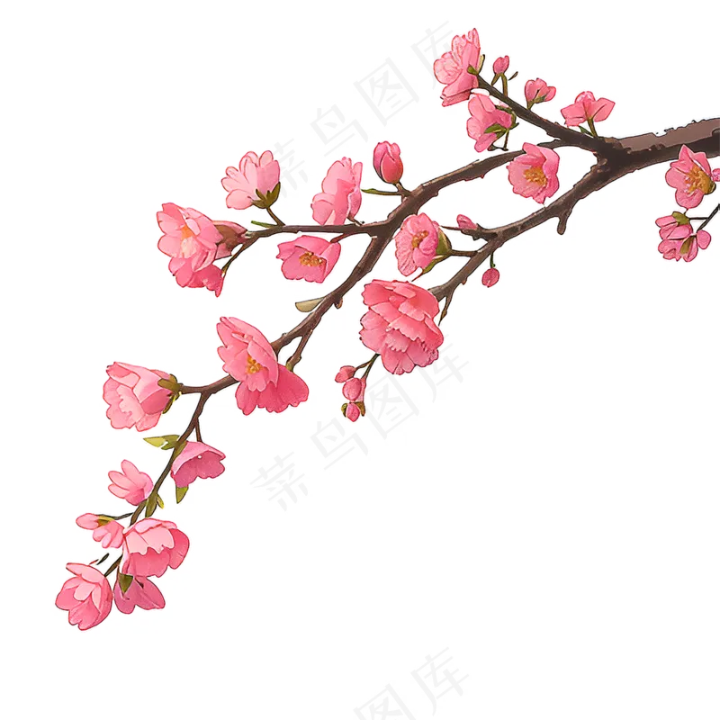 粉色手绘梅花一枝梅素材12