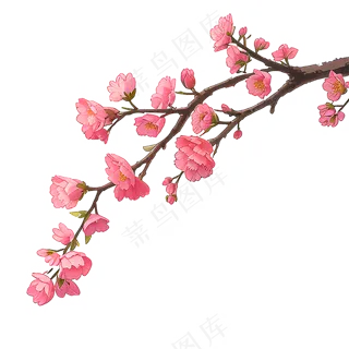 粉色手绘梅花一枝梅素材12