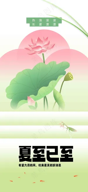 夏至节气传统海报