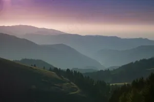 紫色的山谷