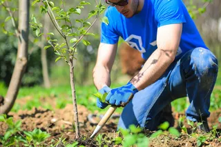 植树树苗保护环境摄影图