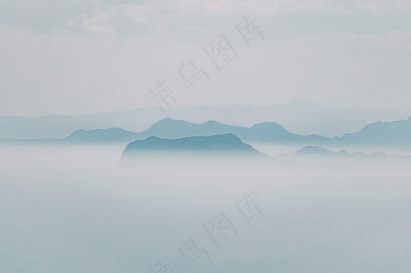 云雾森林图片