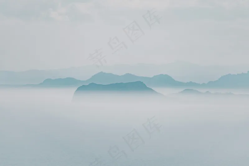 云雾森林图片