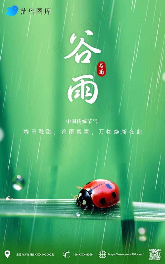 谷雨嫩芽下雨节气海报(1000x1598)psd模版下载