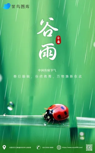 谷雨嫩芽下雨节气海报