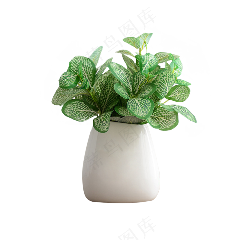 绿色绿植办公室桌面装饰花瓶png免抠图