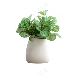 绿色绿植办公室桌面装饰花瓶png免抠图
