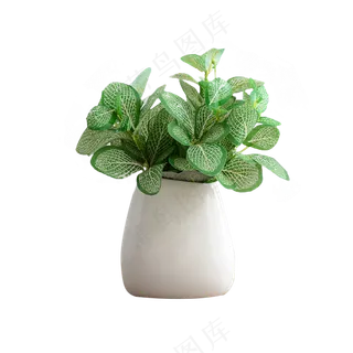 绿色绿植办公室桌面装饰花瓶png免抠图