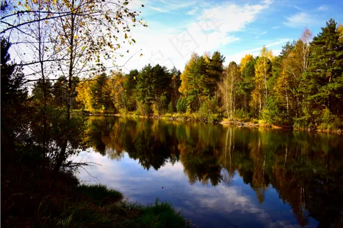 河边与树林 河边与树林