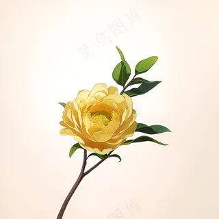 白色黄色手绘新中式风格花植物135