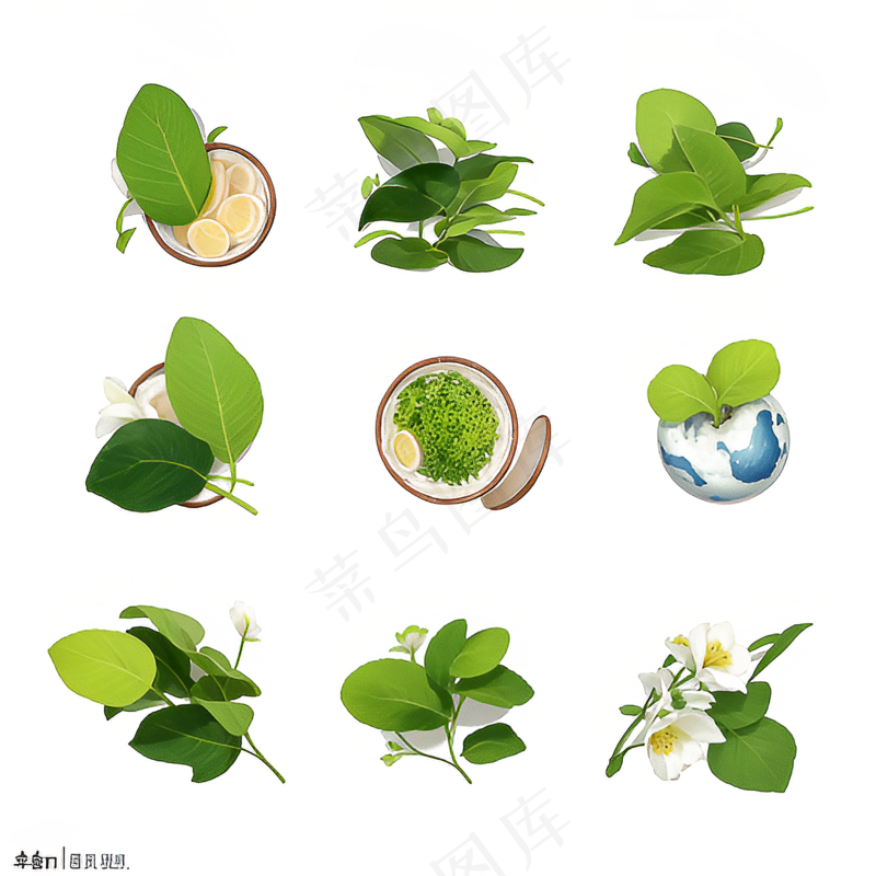 绿色手绘小植物花草系列免抠素材79