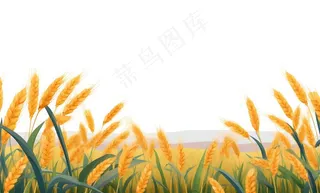秋季小麦麦穗稻谷麦穗手绘卡通插画免抠
