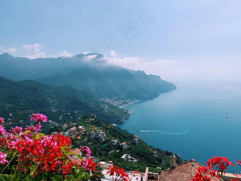 海岸线上的花朵与雾中山脉