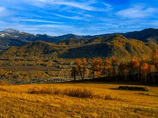 秋日金色山谷的宁静时光