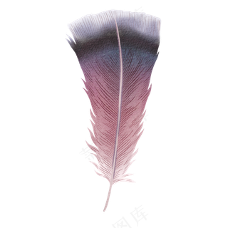 水彩羽毛免扣