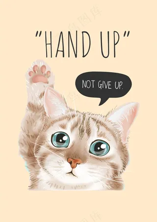 写实毛茸茸 小猫咪