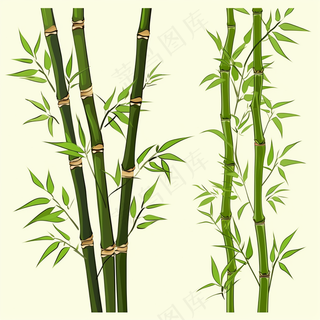 竹子竹叶卡通插画背景