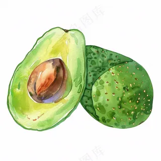 牛油果水果蔬菜水彩插画免抠
