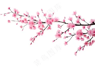 粉色樱花桃花枝条春天卡通插画免抠