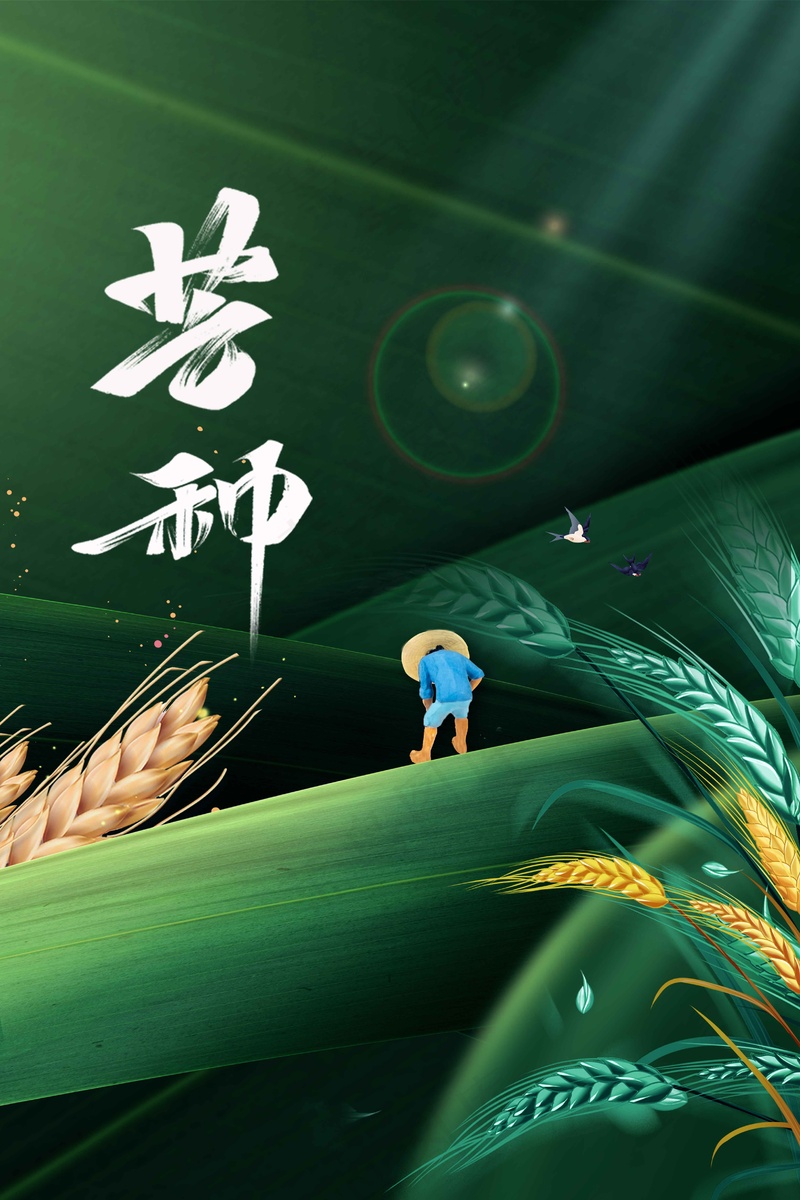 芒种节气传统活动海报psd模版下载